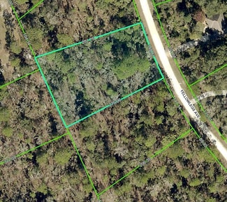 10506 Yellowlegs Ave, Weeki Wachee, FL 34614