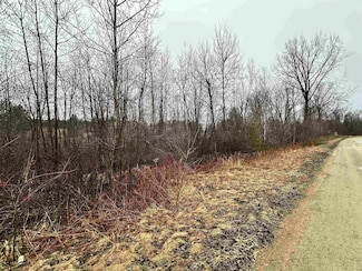 4019 Bay Ave, Beaverton, MI 48612