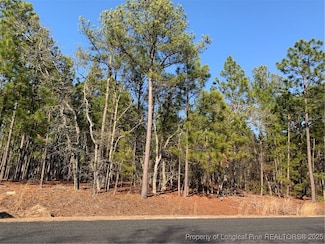 1124 Chicken Plant Rd, Aberdeen, NC 28315
