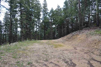 40 41 42 Elk Ridge Unit 40-42, Cloudcroft, NM 88317