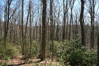 0 Bent School Rd, Meadows of Dan, VA 24120