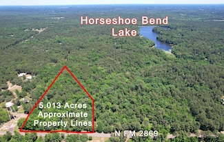 TBD N Farm To Market Road 2869, Winnsboro, TX 75494
