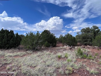81 Cr 8114 (Grant Dr ), Concho, AZ 85924