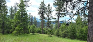 0 Tbd Old Kettle Falls Rd, Republic, WA 99166