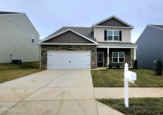 1625 Fox Meadows Cir, Bluff City, TN 37618