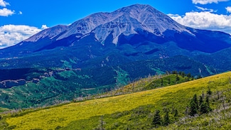 Lot 37 Raspberry Mountain Ranch, La Veta, CO 81055