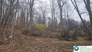 4057 Sherry Hill Rd, Hellertown, PA 18055