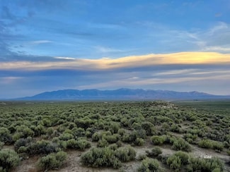 10 Acres N River Ranch, Elko, NV 89801