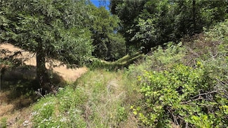 0 Hope Ln Unit 32501743, Cedarpines Park, CA 92322