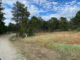 10 Wild Wing Cir, Pecos, NM 87552