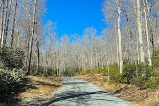 80B Woodland Way, Tazewell, VA 24651