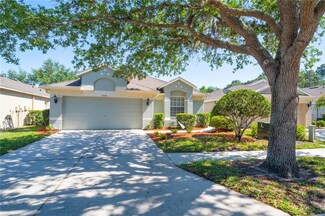 5135 Gato Del Sol Cir, Wesley Chapel, FL 33544