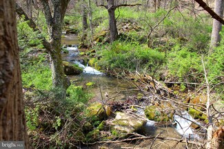 20.51 Acres Dumpling Run Rd, Moorefield, WV 26836