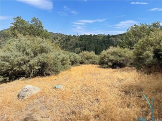 671 Hill Ln, Cedar Glen, CA 92321