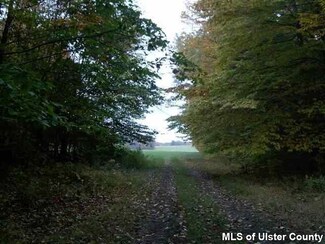 tbd Burlingham Rd, Mamakating, NY 12566