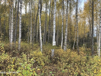 12976 Prism Dr, Willow, AK 99688