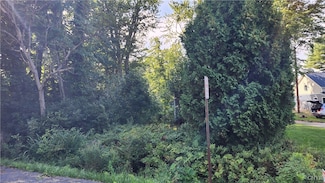 2 McClanathan Ave, Blossvale, NY 13308