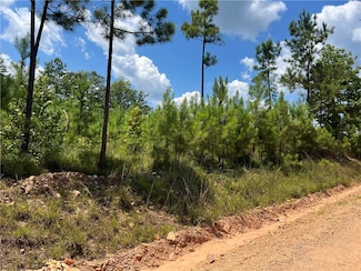 5063 Lee Road 279, Salem, AL 36874