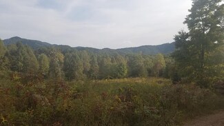 0 New Stansbury Rd Unit 20208864, Turtletown, TN 37391