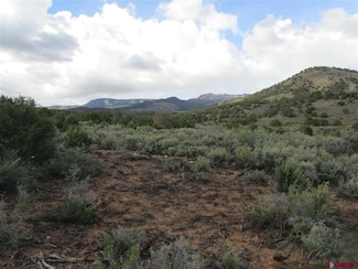 0 Purdy Mesa Rd Unit 726082, None, CO 81527