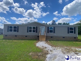 195 McElveen Cir, Lynchburg, SC 29080