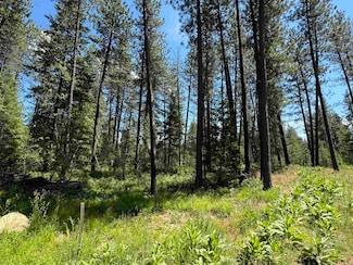 600 N A St Unit Lot 3, Springdale, WA 99173