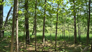 0 Coates Hwy Unit 25014631, Brethren, MI 49619
