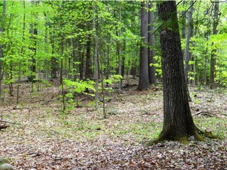 0 Kolbe Ln Unit 4627162, Enfield, NH 03748