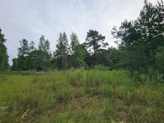 20122 Meadow Lake Rd, Cleveland, TX 77328