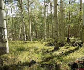 #TBD Usfs Rd 763 Rd, Pitkin, CO 81241