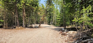 1953 S Forest Ln, Clark Township, MI 49719