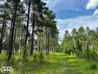 0 Old Prison Camp Rd Unit 23374479, McRae, GA 31055