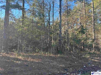 TBD Northwood Dr, Bennettsville, SC 29512