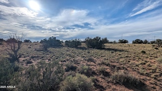 Lot 17 Green Valley Farms -- Unit 17, Saint Johns, AZ 85936