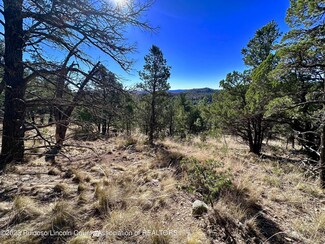 Lot 13 Flute Player Way, Alto, NM 88312