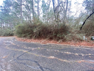 28605 Beechnut Ct, Huntsville, TX 77320