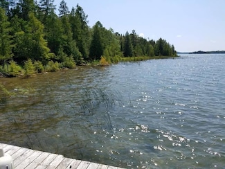 31776 S Grape Island, Drummond Island, MI 49726