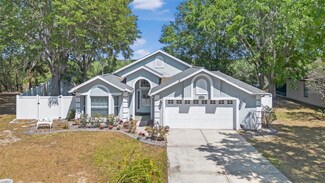 10339 Patrick Dr, Leesburg, FL 34788