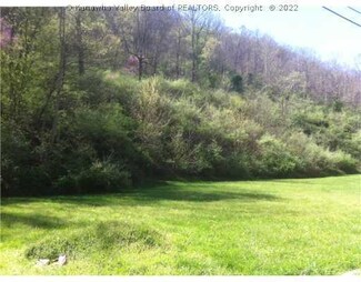 270 Quick Rd, Elkview, WV 25071