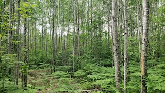 Lot 5 Burrows Lake Rd, Tomahawk, WI 54487