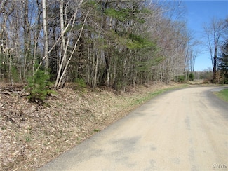 0 Alder Rd, White Lake, NY 13494