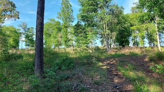 Lot 221 Vintage, Livingston, TX 77351