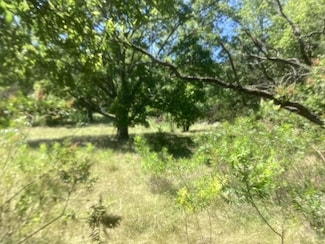 24418 Cottonwood Dr, Leander, TX 78641