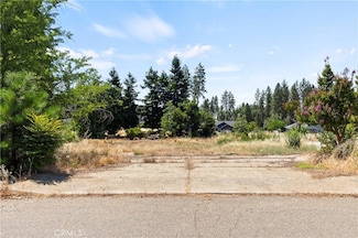 1382 Delia Way, Paradise, CA 95969