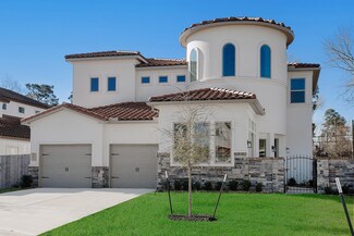 1487 Torrijos Ct, Shenandoah, TX 77384