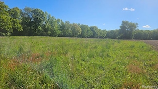 tbd Mack Rd, Oceola Township, MI 48855