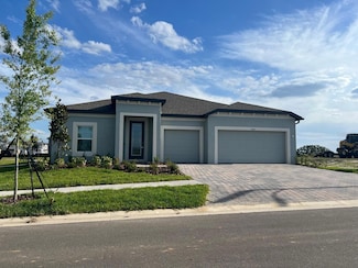 9429 Crescent Ray Dr, Wesley Chapel, FL 33545