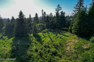 L5 B3 Yonder Forty, Homer, AK 99603