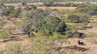 TBD Berry Dairy Rd, Bryson, TX 76427