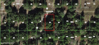 2311 Reagan St, Inverness, FL 34453